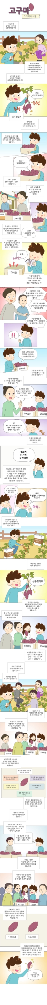 미리보기 이미지