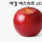 미리보기 이미지