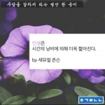 미리보기 이미지